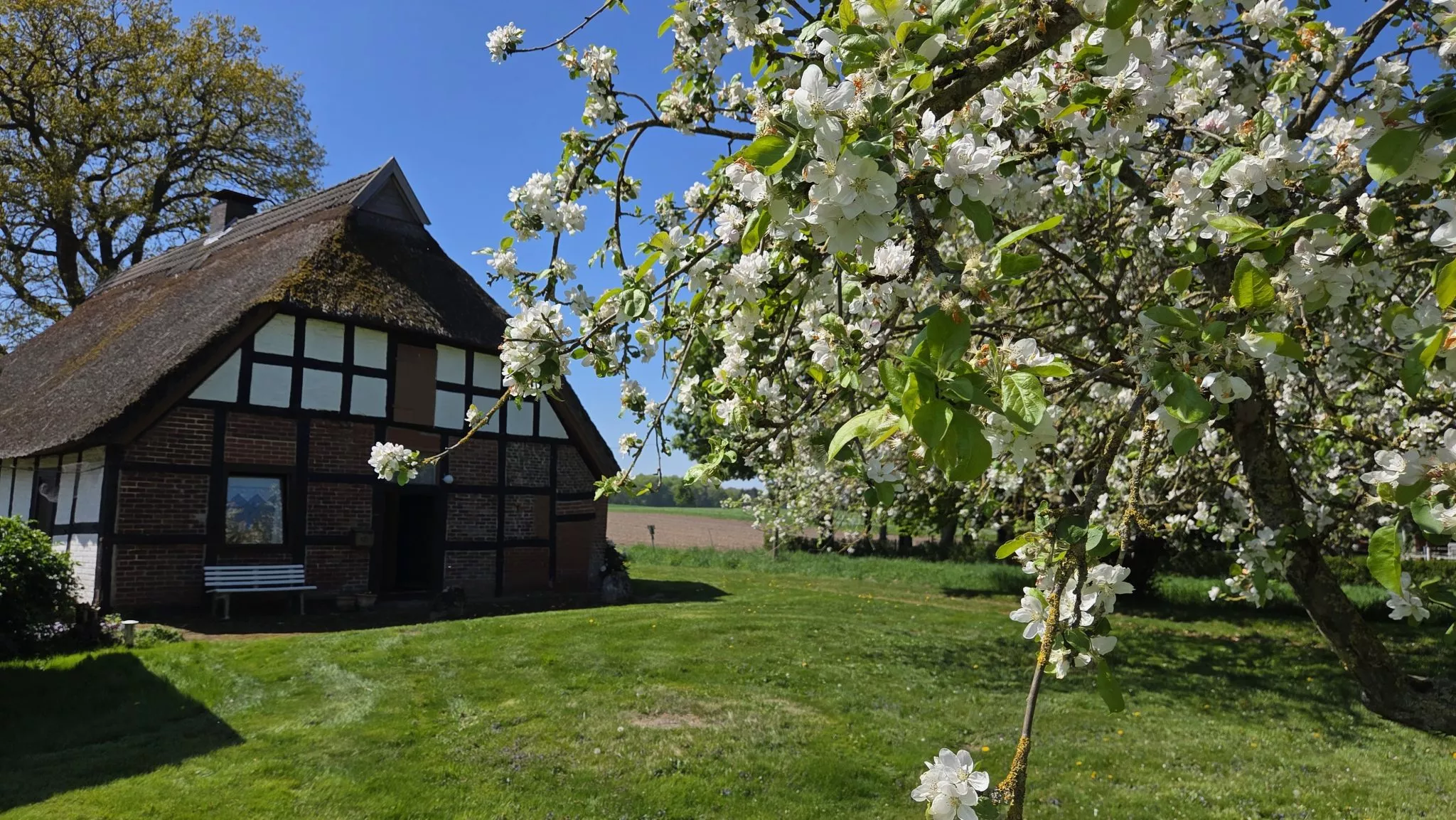 Immobilienangebot - Bruchhausen-Vilsen - Alle - Fachwerk - Reetdach - Und ein Bach, der leise Geschichten erzählt.