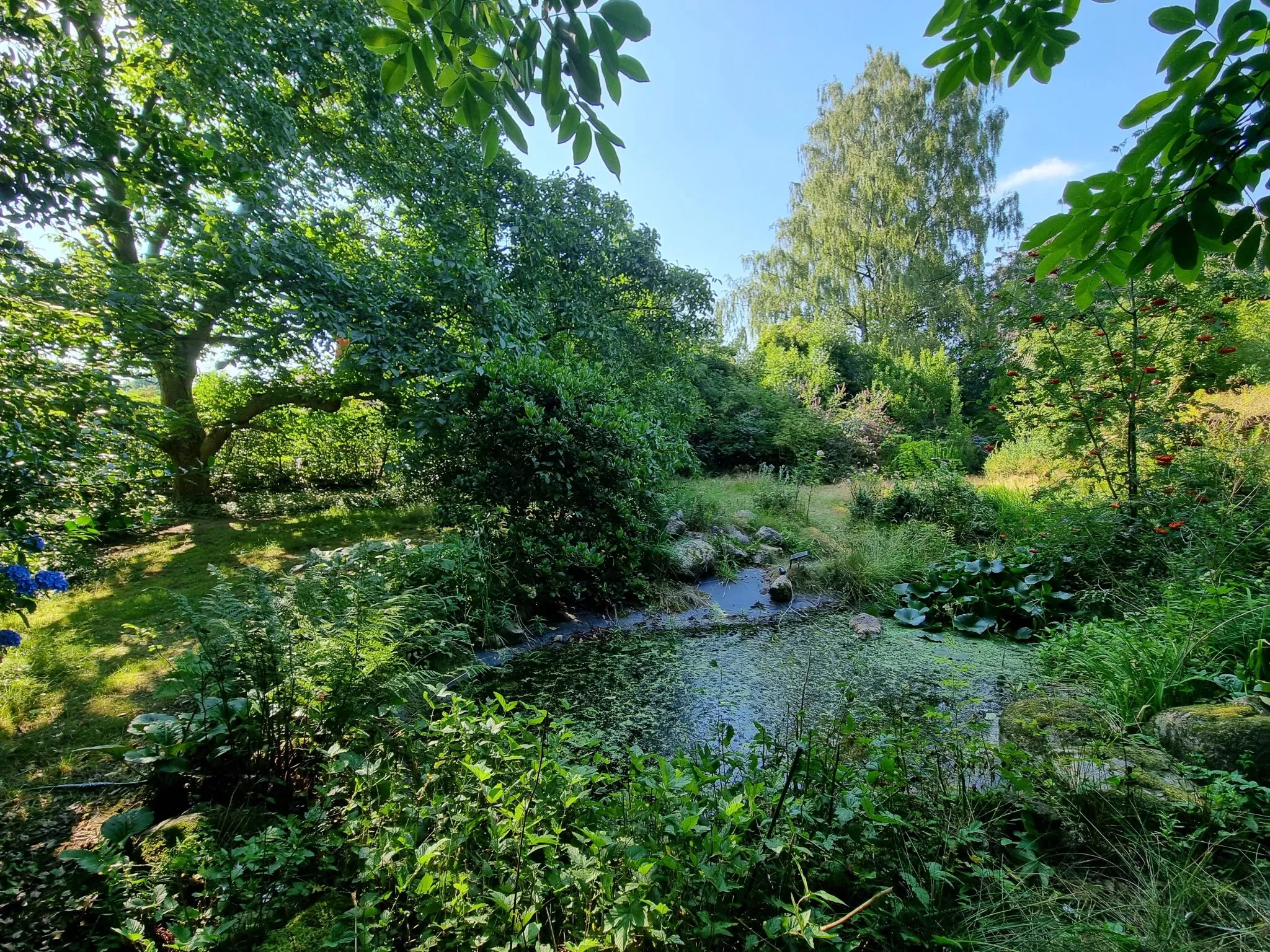 Immobilienangebot - Bruchhausen-Vilsen - Grundstücke - Traumgrundstück am Vilser Holz