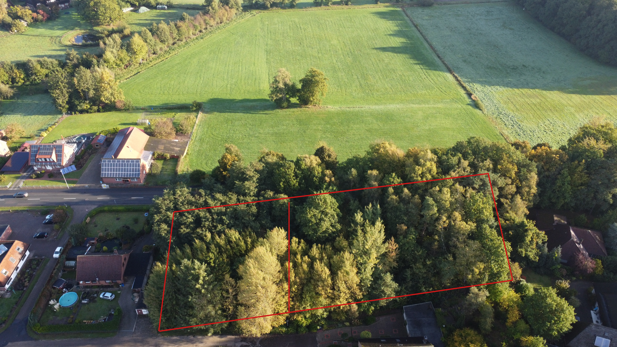 Immobilienangebot - Bruchhausen-Vilsen - Grundstücke - Traumhaftes Baugrundstück in Homfeld beim Heligenberg!