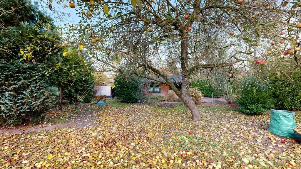 Immobilienangebot - Asendorf - Alle - Wenn Geschichte zu Hause ist – Jugendstilhaus von 1910 in Asendorf
