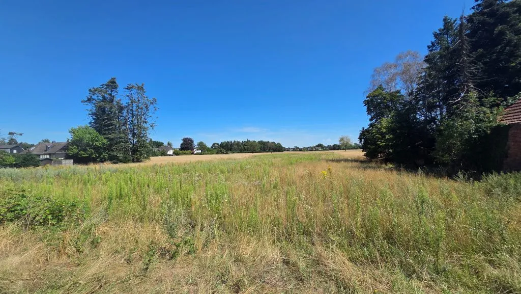 Immobilienangebot - Weyhe - Grundstücke - Baugrundstück Melchiorshausen | Ca. 2.000 m² Mischgebiet an der B6 – Weyhe